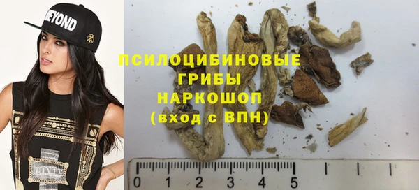 apvp Баксан