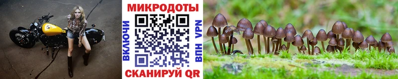 Галлюциногенные грибы MAGIC MUSHROOMS  KRAKEN зеркало  Ялуторовск  наркота 